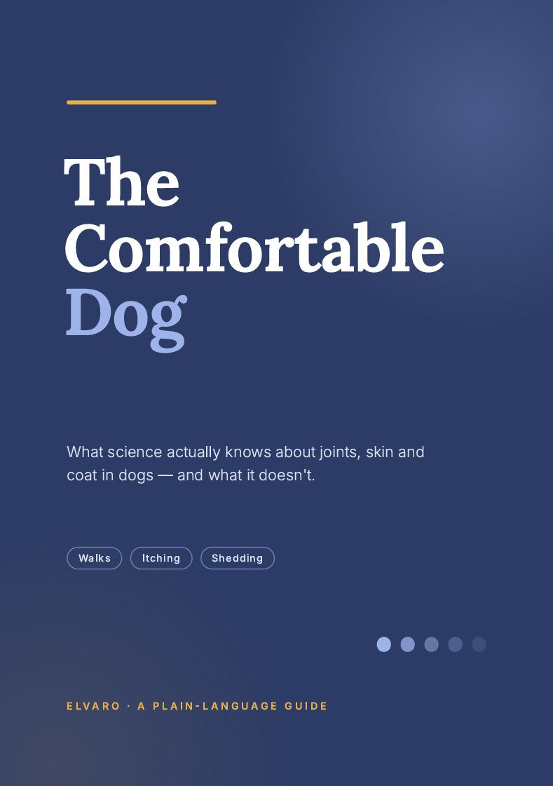 The Comfortable Dog E-Book